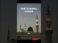 Maher Zain Haris J Nasheed Qalbifilmadina Muslim Nasheed Naat Islam Oman Bangladesh Fyp Maher Zain Haris J Nasheed Qalbifilmadina Muslim Nasheed Naat Islam Oman Bangladesh Fyp