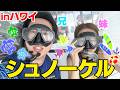 【家族旅行】兄妹で母の大好きな海連れてったら妹と母喧嘩し出すのおもろwwwww 【#3】
