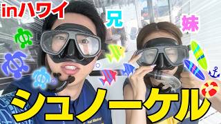 【家族旅行】兄妹で母の大好きな海連れてったら妹と母喧嘩し出すのおもろwwwww 【#3】