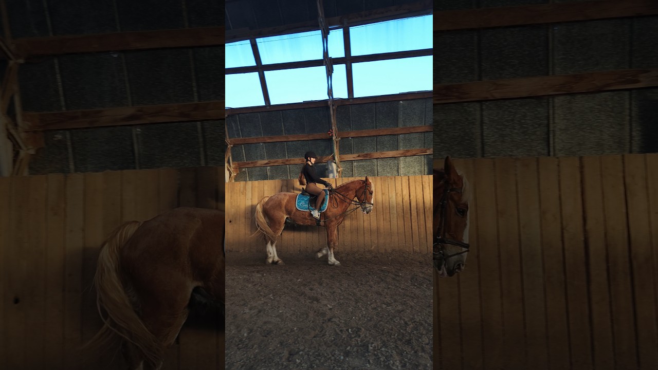 Вика на Каспере, работа на рыси, подготовка к стартам. 