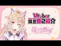 【自己紹介】一問一答自己紹介【Vtuber準備中】