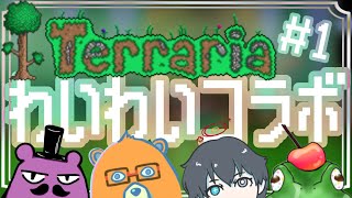 【#terraria  】今度はテラリア！！！わいわい大冒険だぅ！【コラボ配信】