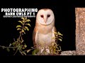 BARN OWL PHOTOGRAPHY | HOW TO CHOOSE A SUITABLE SITE | TIPS FOR SUCCESSFUL BIRD PHOTOGRAPHY PT 1