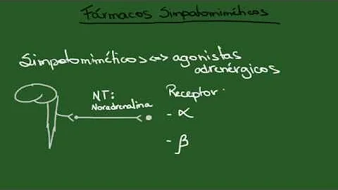 Qual o mecanismo de ação dos agonistas alfa 2 adrenérgicos?