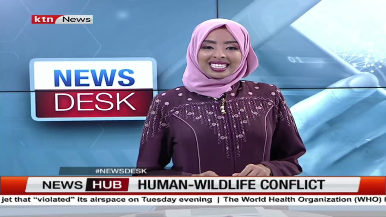 Human-wildlife conflict: Elephants invade farms in Taita Taveta