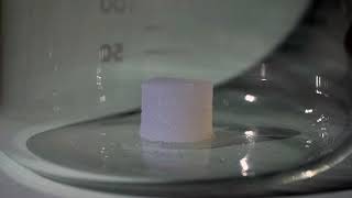 Time-lapse movie of a BNF-PMSQ monoliths during evaporative drying