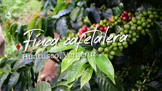 Huatusco, Veracruz - Finca de café