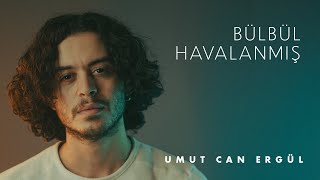 Bülbül Havalanmış - Umut Can Ergül (2024) #türkü #deyiş Resimi