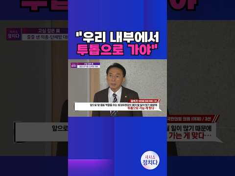 [시사쇼 <strong>정치다</strong>] 與 비대위원장, &amp;quot;경험 많은 원내 인사 투톱 체제&amp;quot;?!