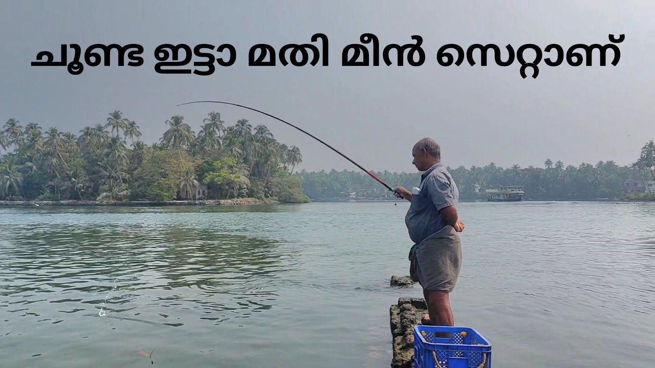 ചൂണ്ട ഇട്ടാ മതി മീൻ സെറ്റാണ് | fishing | sea fishing | fishing malayalam | fisherman | fish