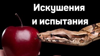 Искушения и испытания   Д.Самарин  МСЦ ЕХБ