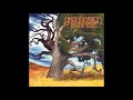 Groundation - Young Tree