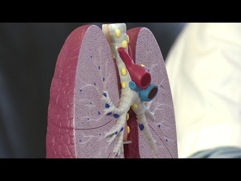 Vidéo: Effets Cardiorespiratoires Sur La Santé De L'exposition à La Pollution De L'air Ambiant Gazeux Dans Les Pays à Revenu Faible Et Intermédiaire: Revue Systématique Et Méta