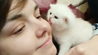 🥰 21 День  После Рождения | Милота зашкаливает | Котенок целует меня