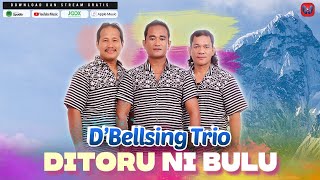 D'BELLSING TRIO - DITORU NI BULU - LAGU BATAK TERBARU