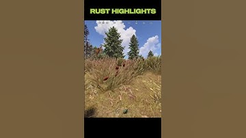 Failed Counter Raid | RUST