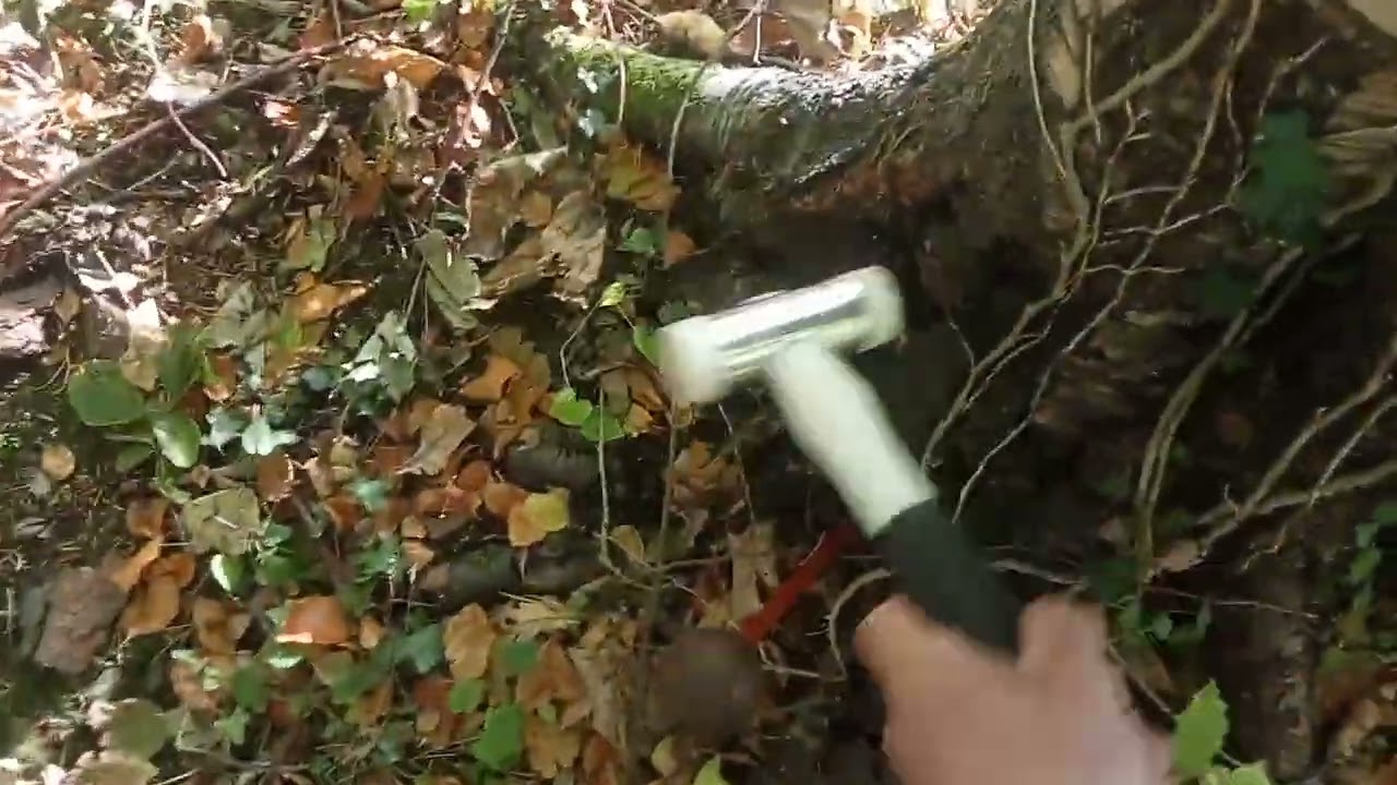 birch fails poke and tap test