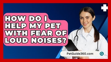 How Do I Help My Pet With Fear Of Loud Noises? - PetGuide360.com