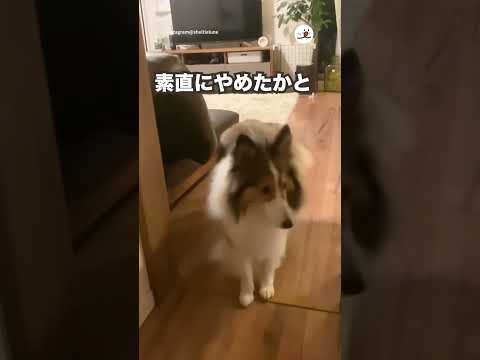 何度も注意されてもイタズラはやめられない！｜PECO