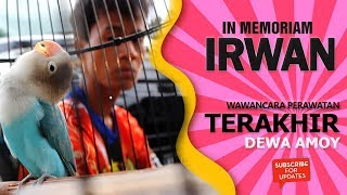 Download In Memoriam IRWAN : Wawancara TERAKHIR Perawatan Lovebird DEWA AMOY Milik H.Birly Pekalongan In Memoriam IRWAN : Wawancara TERAKHIR Perawatan Lovebird DEWA AMOY Milik H.Birly Pekalongan