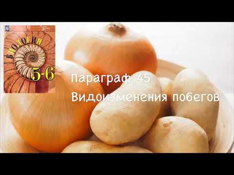 Биология 6 класс ( Пасечник) аудио Параграф 45 Видоизменение побегов