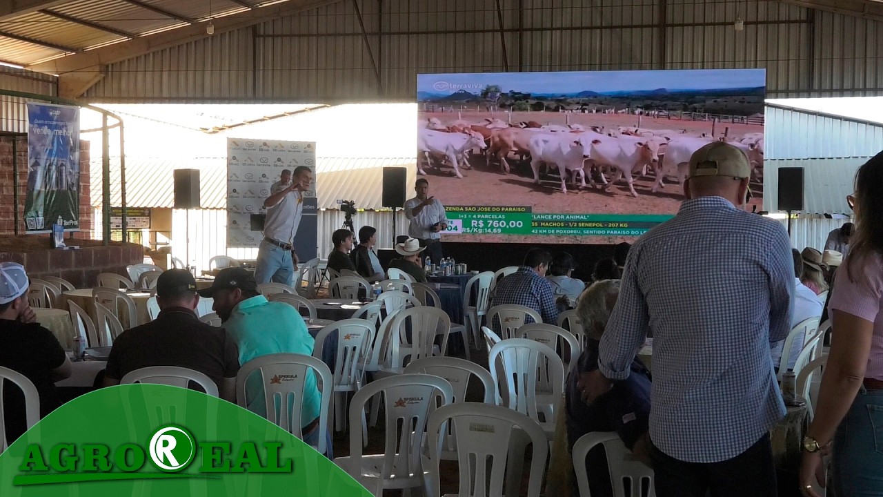 Leilão de animais movimenta a 25ª expoverde