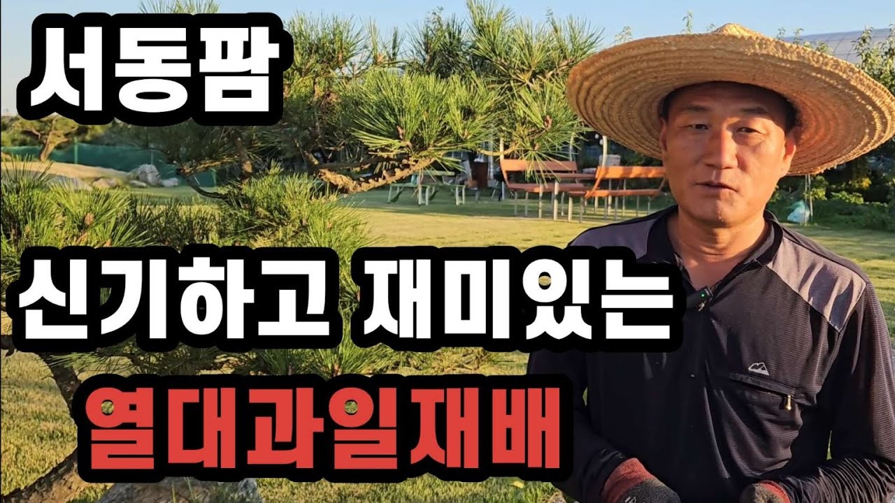 아열대과일 재배로 체험농장 성공하는 방법