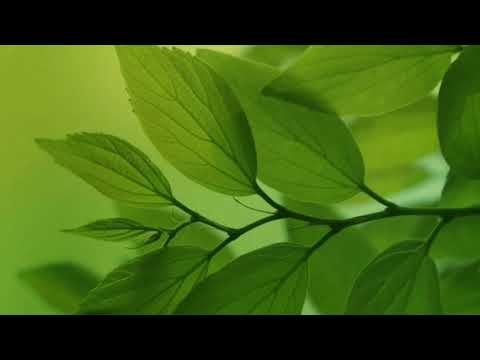 СКАЧКИ АРТЕРИАЛЬНОГО ДАВЛЕНИЯ ПРИ ВСД