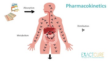 SimCardioTest video Demonstration of simulation of drug effects in cellular and 3D models