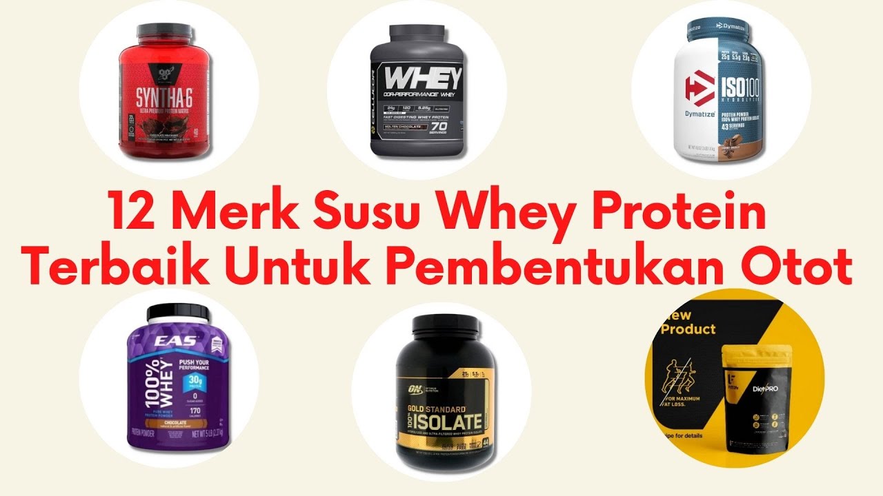 12 Merk Susu Whey Protein Terbaik Untuk Pembentukan Otot Youtube