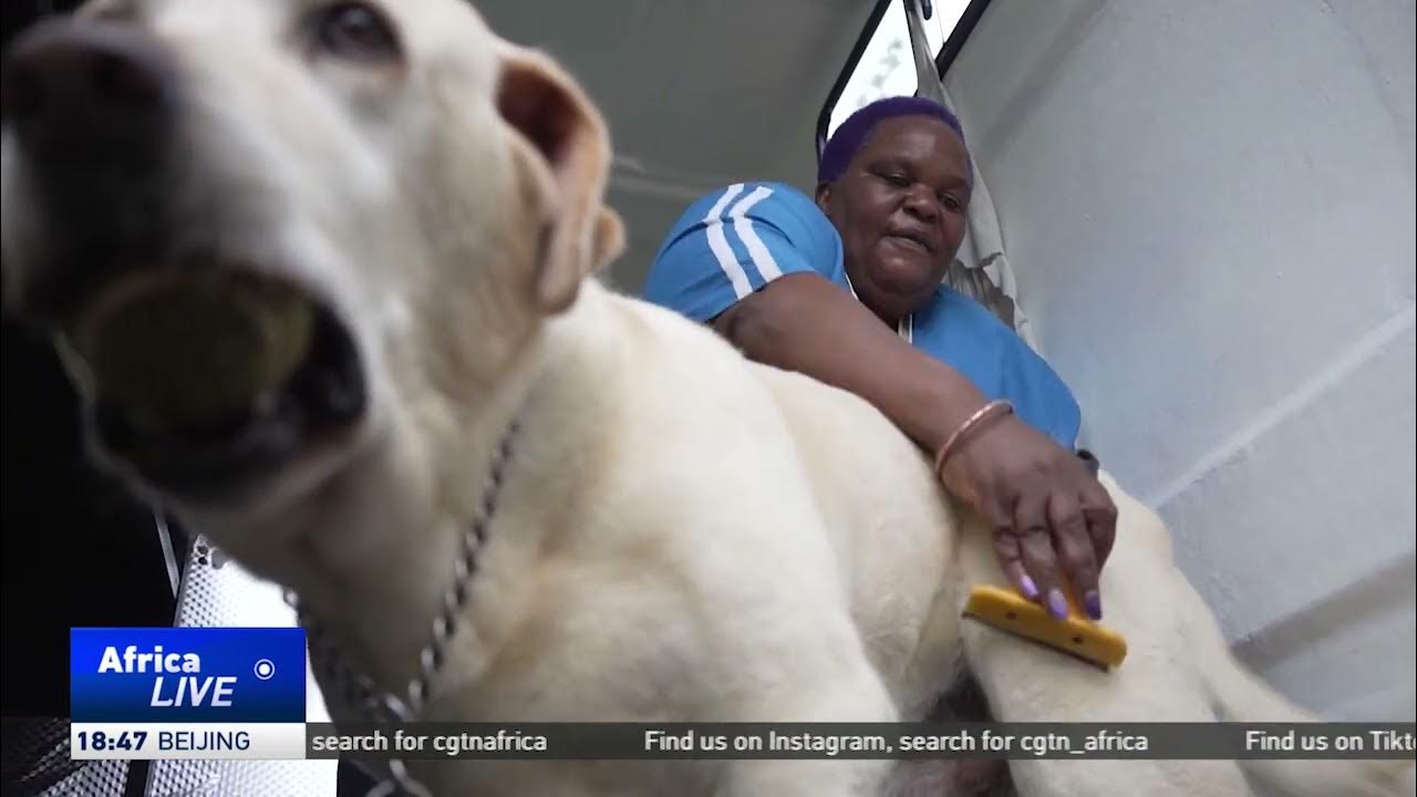 South Africa’s middle class boosts 9m pet market