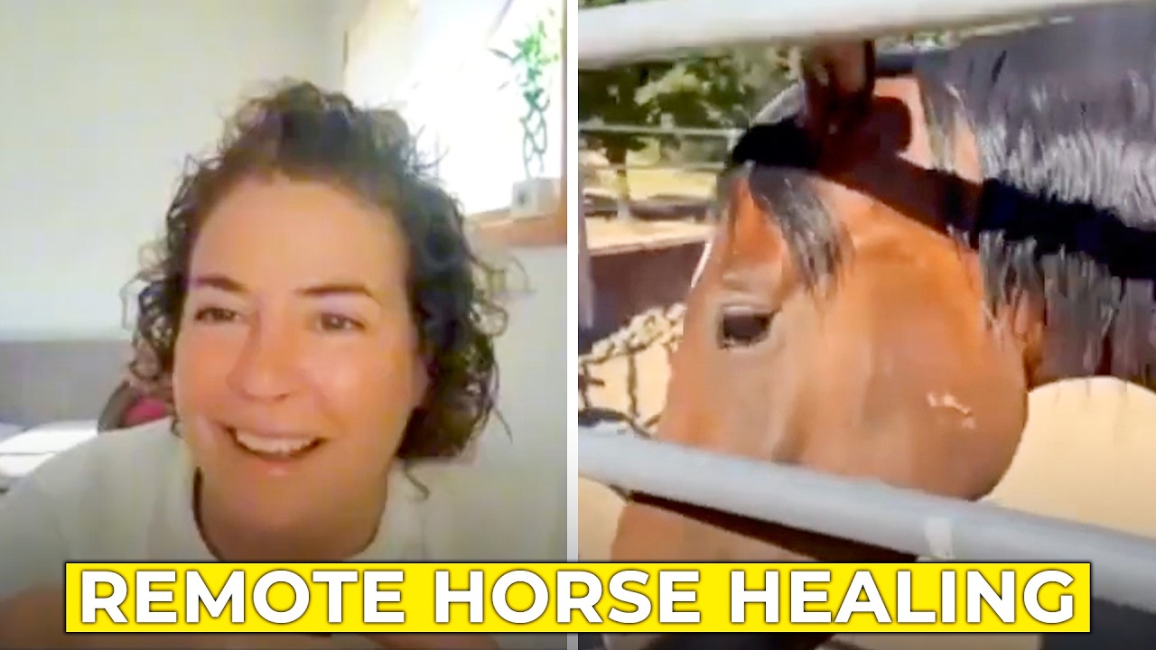 Live Quantum Horse Healing on Zoom | Remote Body Assessment & Muscle Release