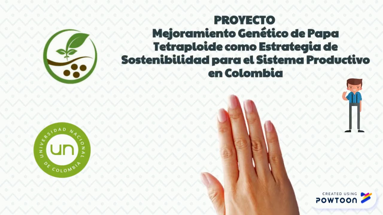 ITPA YouTube Itpa youtube