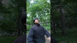 Doing penance in the Amazon jungle #viral  #shorts  #shortvideo #lifeisbutadream
