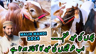 Malir Cow Mandi 2024 | RATES with SOFT BARGAINING | Cattle Market Karachi | Bakra Eid 2024