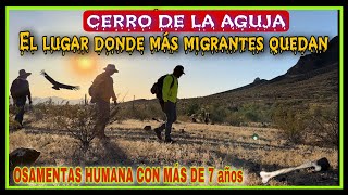 LA BÚSQUEDA DE MIGRANTES PERDIDOS EN EL DESIERTO DE ARIZONA CERRÓ LA AGUJA DÍA 1