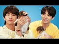 BTS brinca com cachorrinhos e responde a perguntas do ARMY