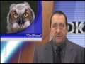 Owl Prowl