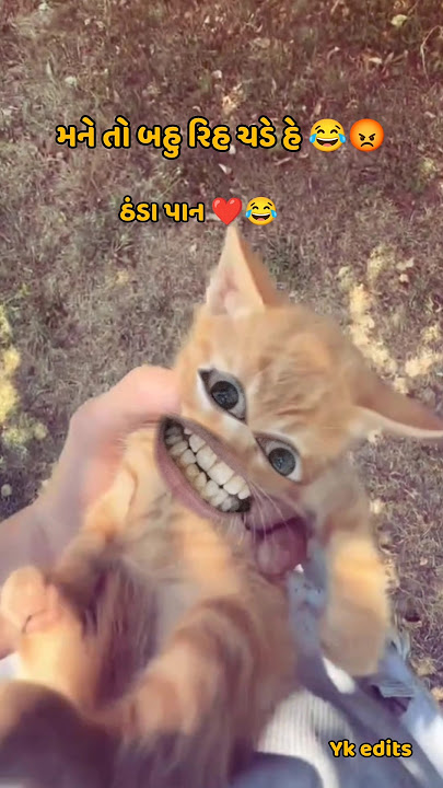 mane to bov rih chade l thanda pan l #shortvideo #funny