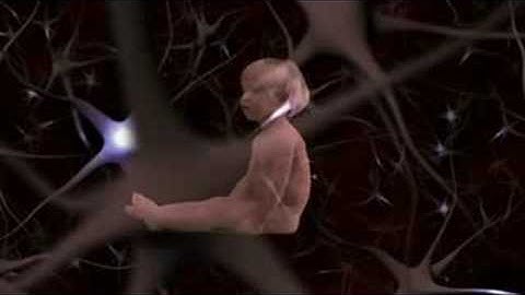 Complexity (Chapter 1 of 6)