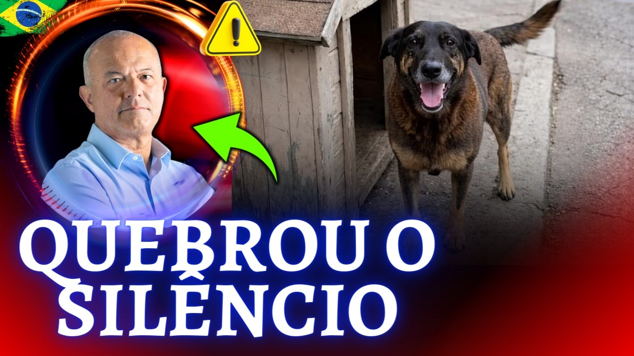 Orelha: Por Que a Morte Deste Cachorro Chocou o País