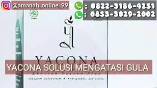 YACONA OBAT HERBAL GULA || JUAL YACONA MENGATASI DIABETESI 0853 3029 2002