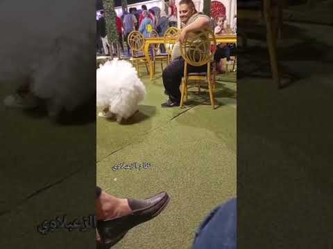 لما تبقى ضامن الجنة