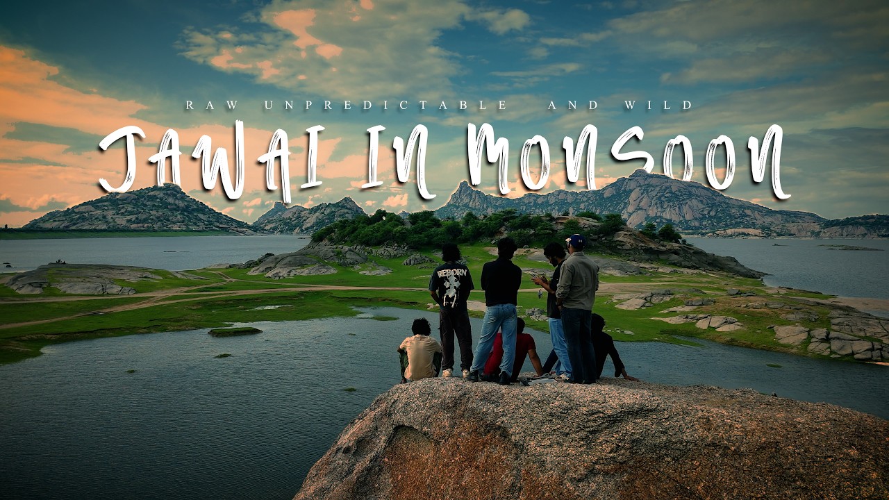 Jawai in Monsoon: Raw, Unpredictable & Wild | Leopard Safari in Rajasthan’s Hidden Gem