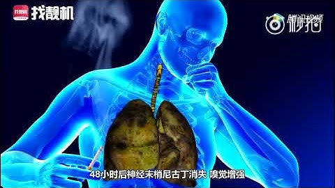 戒菸后 变黑的肺能好转吗 - 天天要闻