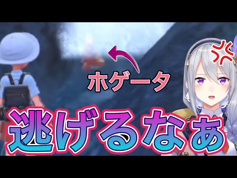 ホゲータに修行という名の虐待をする樋口楓【にじさんじ/にじさんじ切り抜き/樋口楓/JKL/月ノ美兎/エル/静凛/ポケモン】