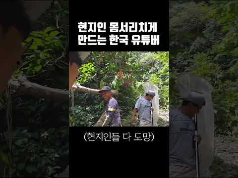 현지인에게 개미먹방 보여준 <strong>한국유튜버</strong>