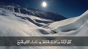 سورة الكهف من المصحف المرتل بصوت الشيخ د. محمد حسان