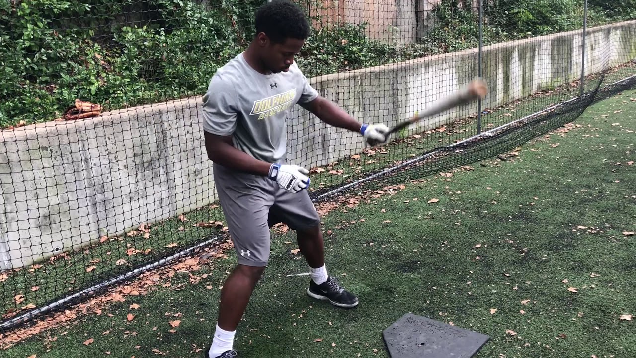 hitting the gym HARLEM BASEBALL HITTING ACADEMY