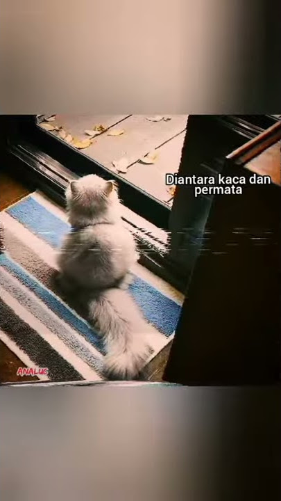 Dan tak seharusnya aku bertemu denganmu (story' wa 30 detik)